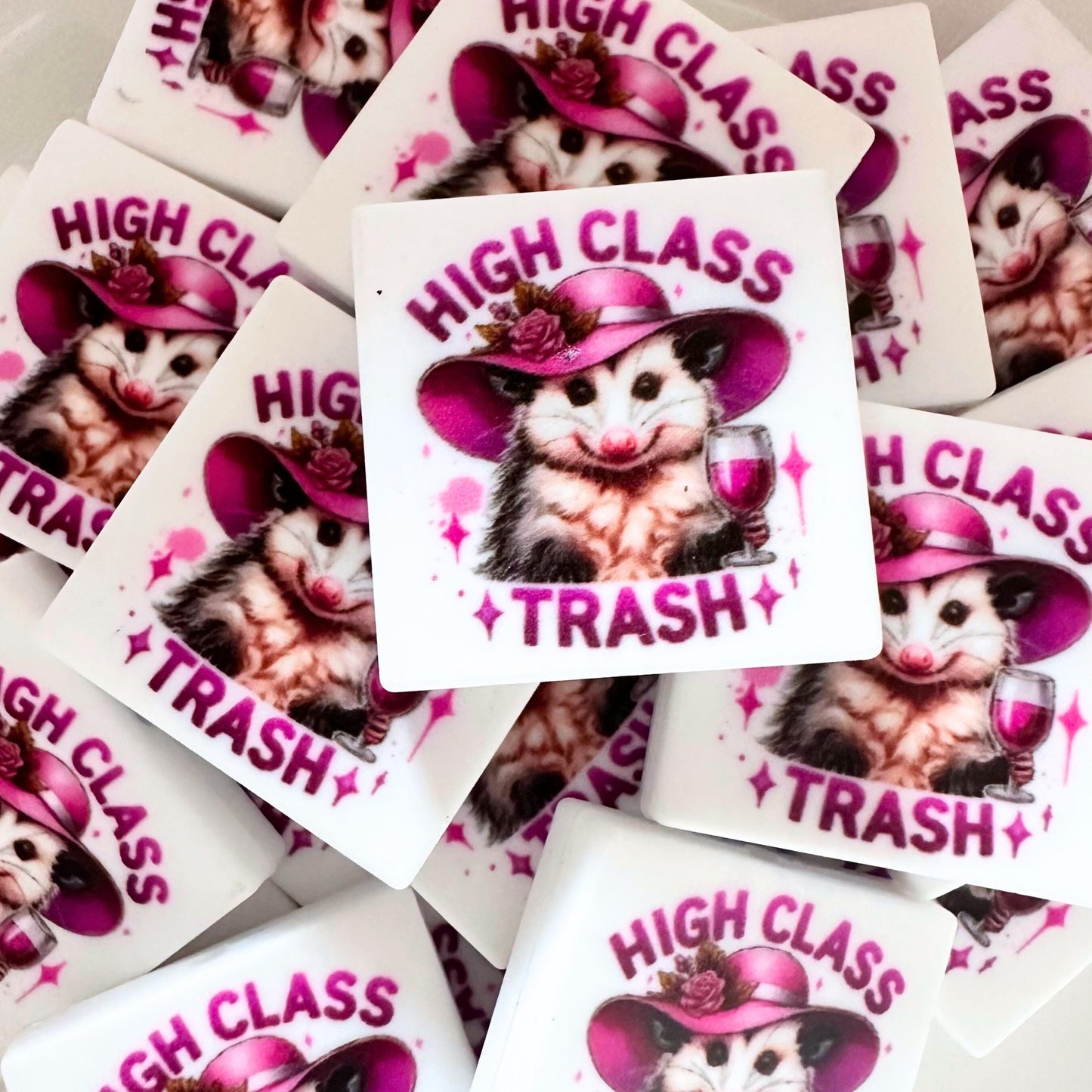 High Class Trash Raccoon image 0