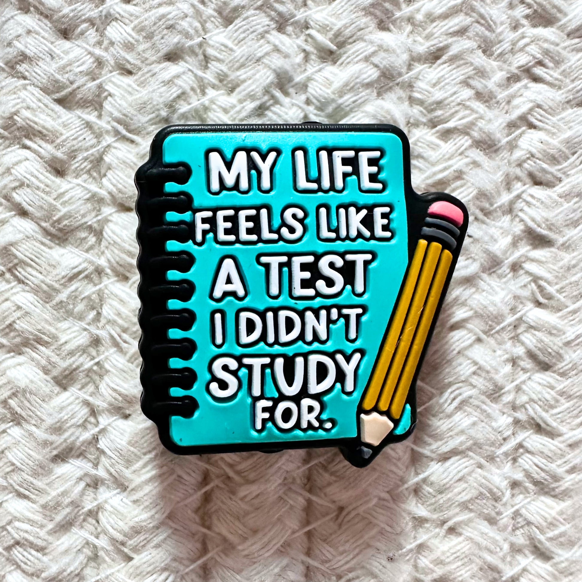 My Life Feels Like a Test I Didn't Study For image 1