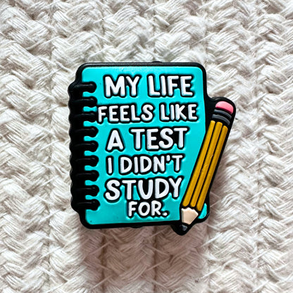 My Life Feels Like a Test I Didn't Study For image 1