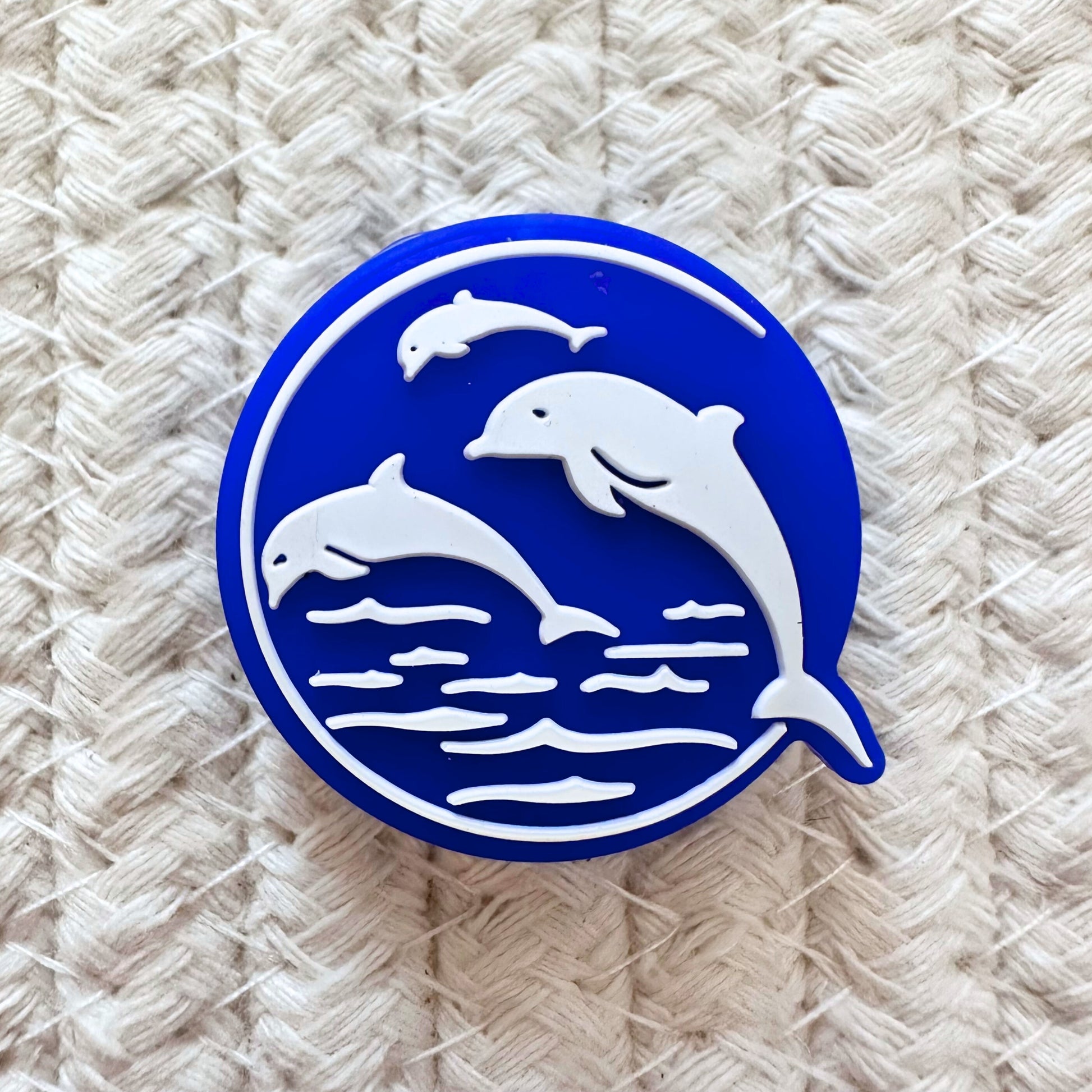 Dolphins Ocean Marine Life image 1