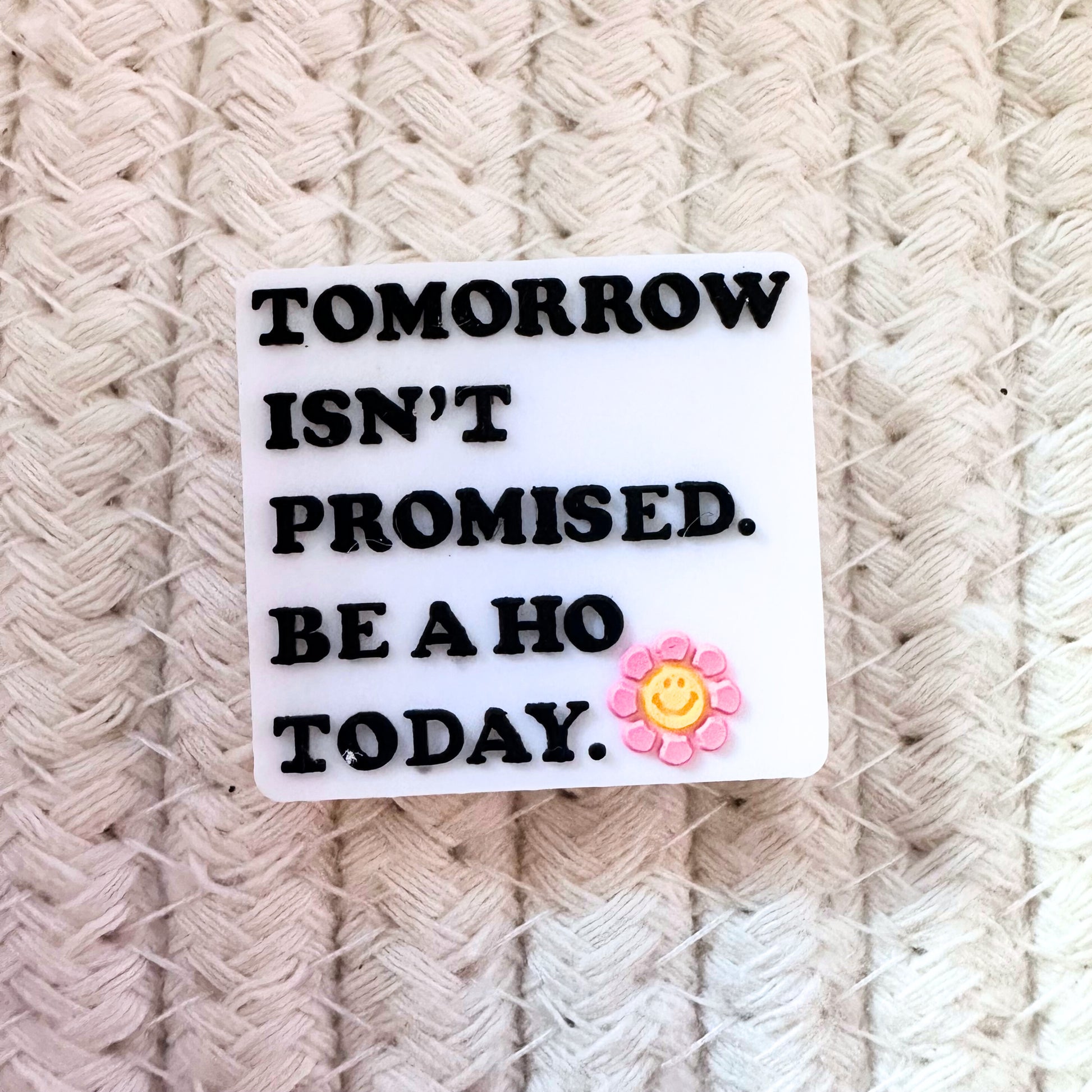 Tomorrow Isn't Promised Be A Ho Today image 1