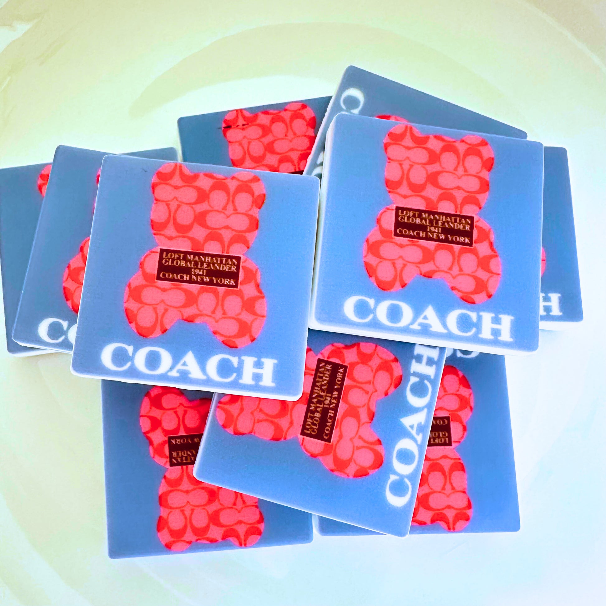 Coach Bear image 0