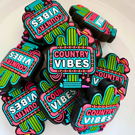 Country Vibes Cactus Sign image 0