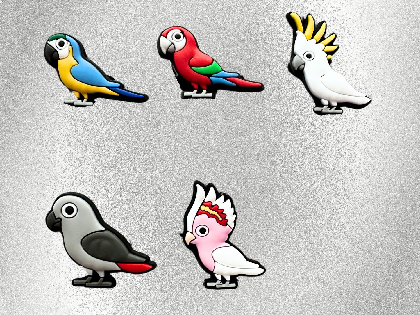 Bird Parrot image 0