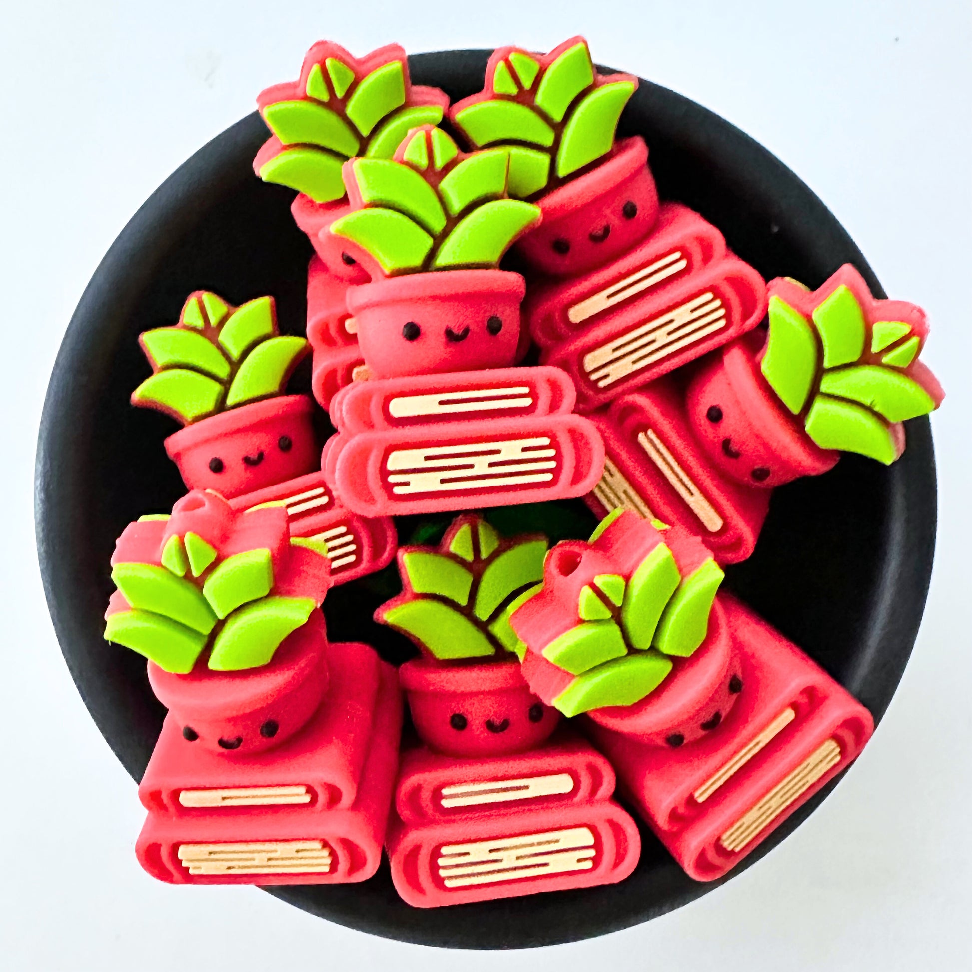 3D Succulent and Books image 0