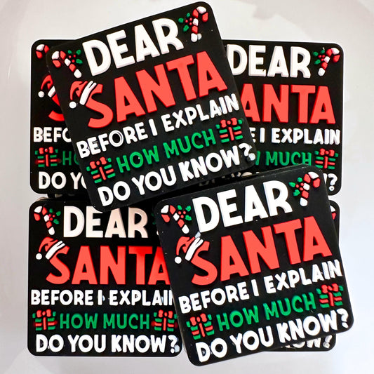 Christmas Dear Santa Before I Explain How Much Do You Know image 0