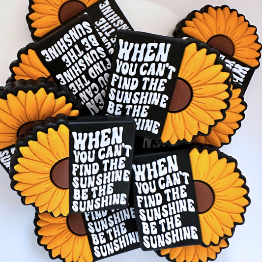 When You Can't Find The Sunshine Be The Sunshine image 0