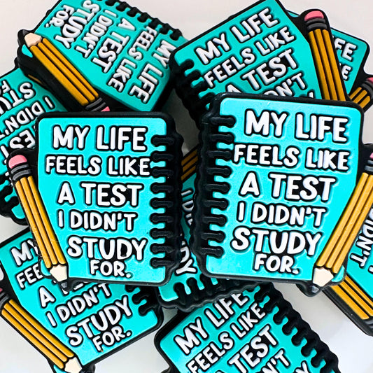 My Life Feels Like a Test I Didn't Study For image 0